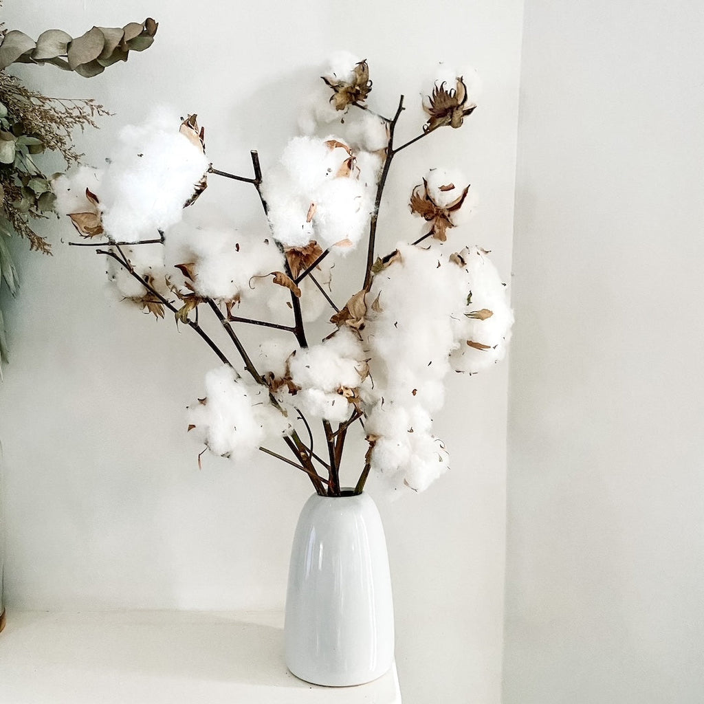 Cotton Branches
