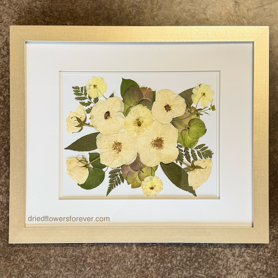 Champagne Pressed Flower Frame